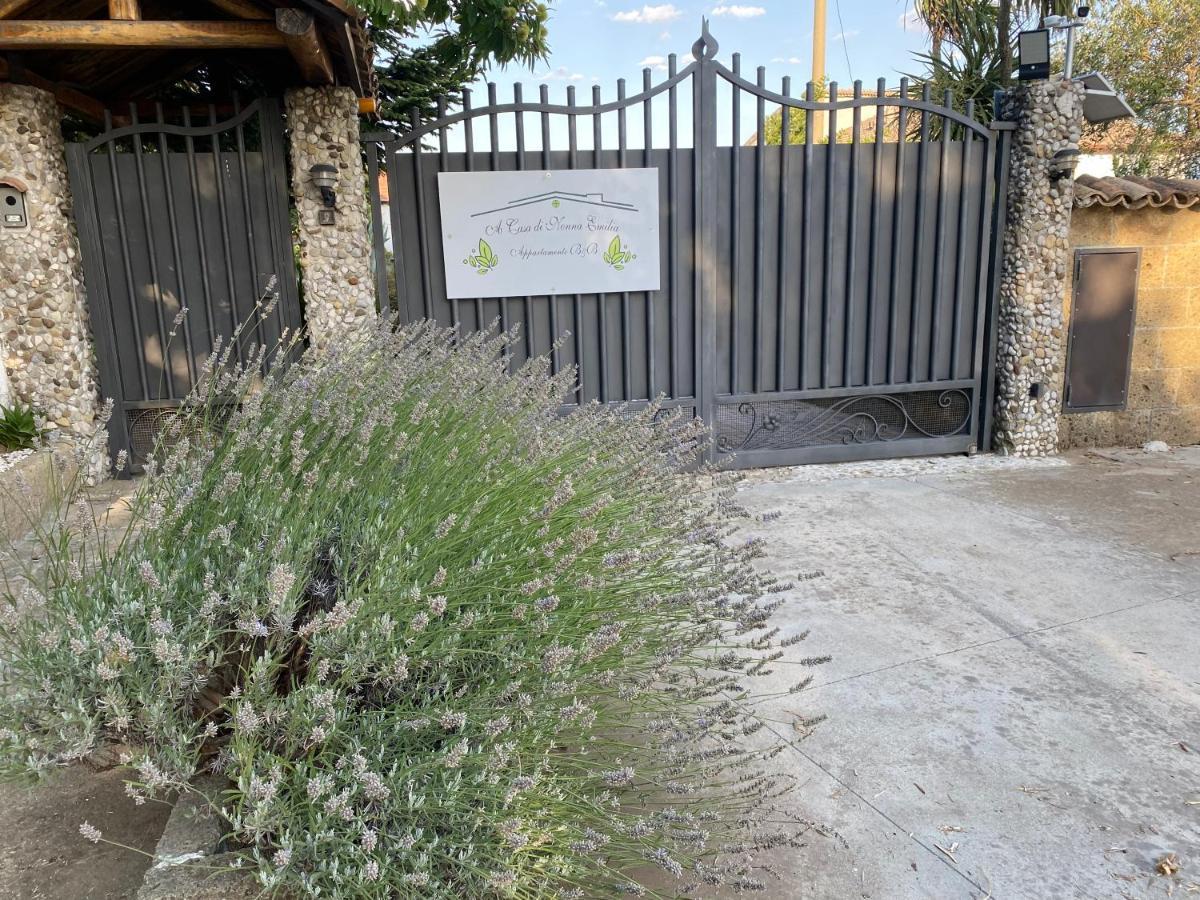 坎帕尼亚A Casa Di Nonna Emilia住宿加早餐旅馆 外观 照片