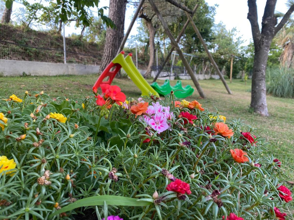 坎帕尼亚A Casa Di Nonna Emilia住宿加早餐旅馆 外观 照片