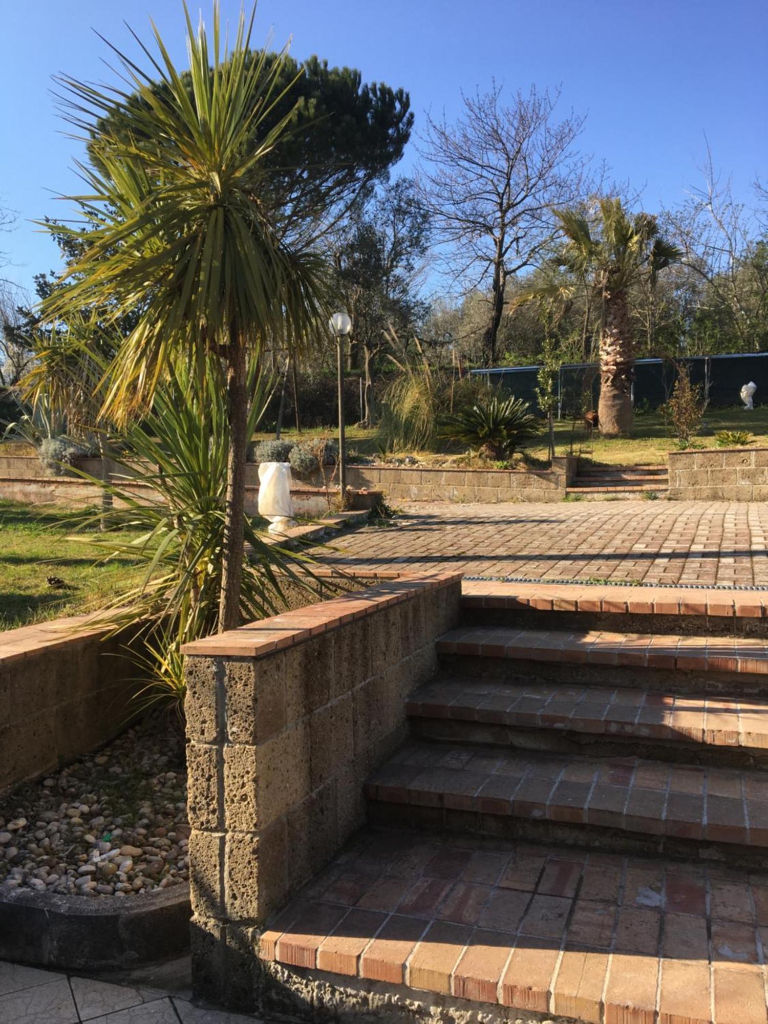 坎帕尼亚A Casa Di Nonna Emilia住宿加早餐旅馆 外观 照片